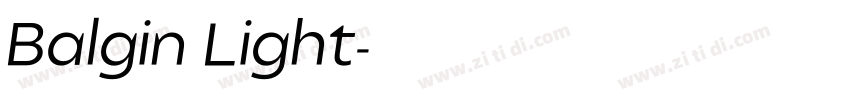 Balgin Light字体转换